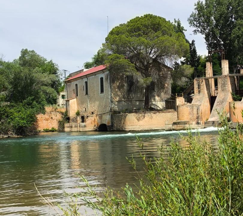 Photo of Others in Casasimarro