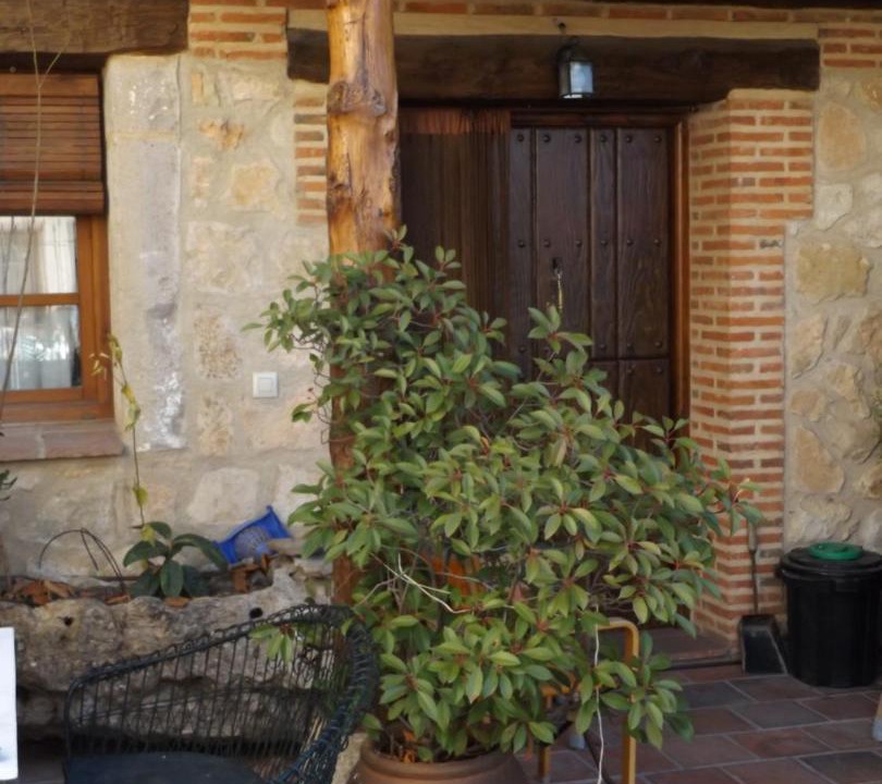 Photo of Others in Turegano