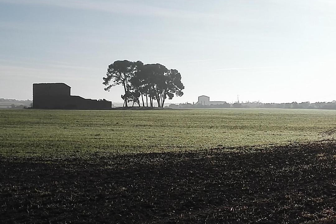 Photo of Outdoor in Tarrega