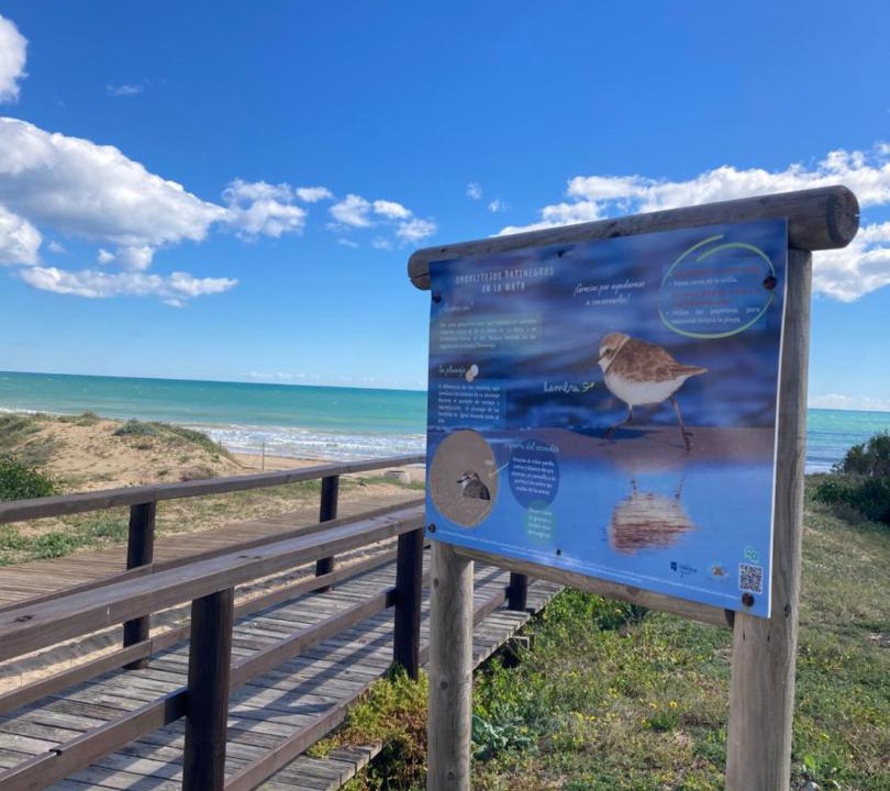 Photo of Others in La Mata