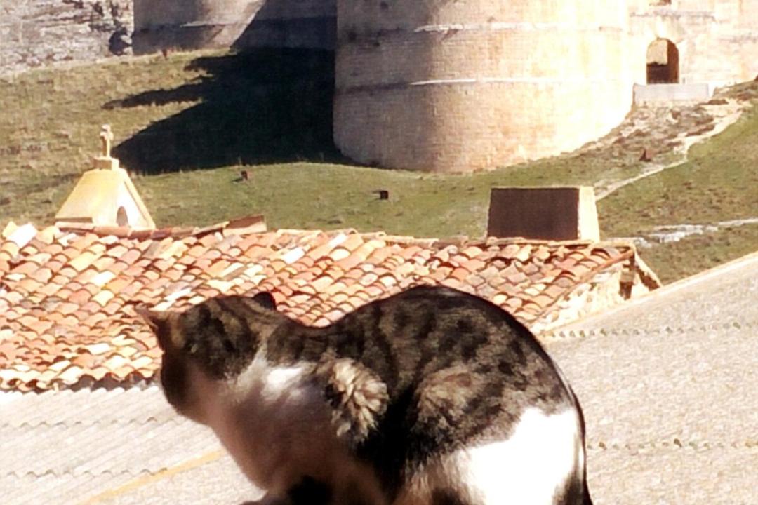 Photo of Others in Berlanga de Duero
