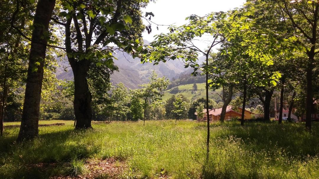 Photo of Outdoor in Margolles
