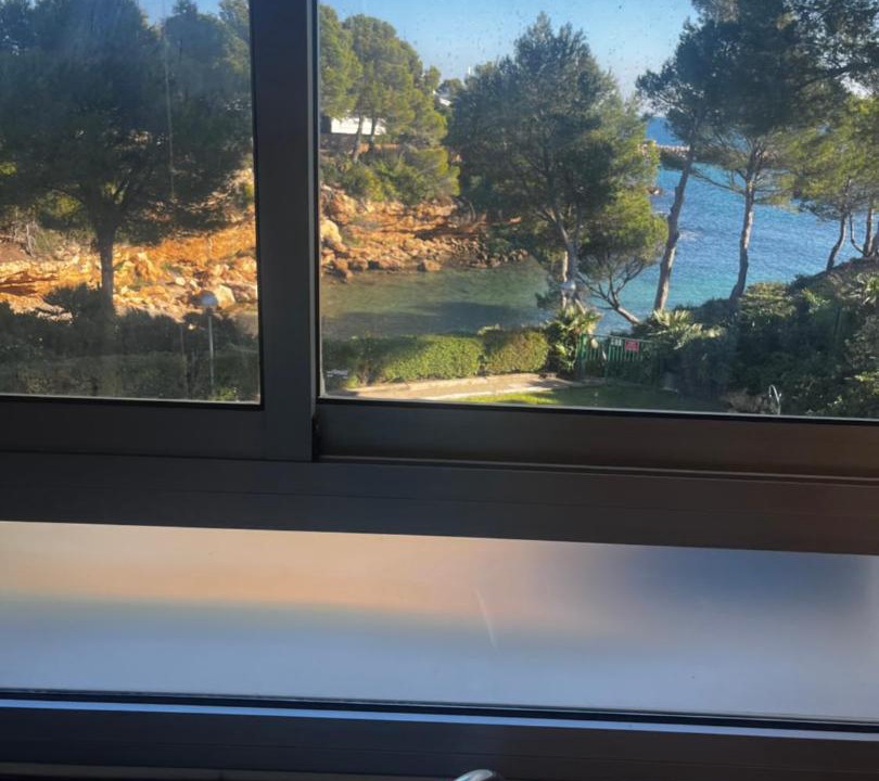 Photo of Others in Calafat