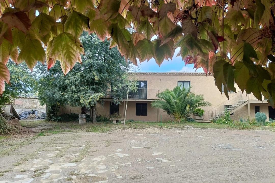 Photo of Others in Balenya