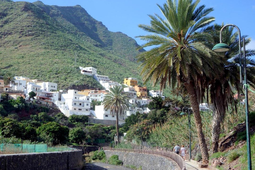 Photo of Others in Santa Cruz de Tenerife