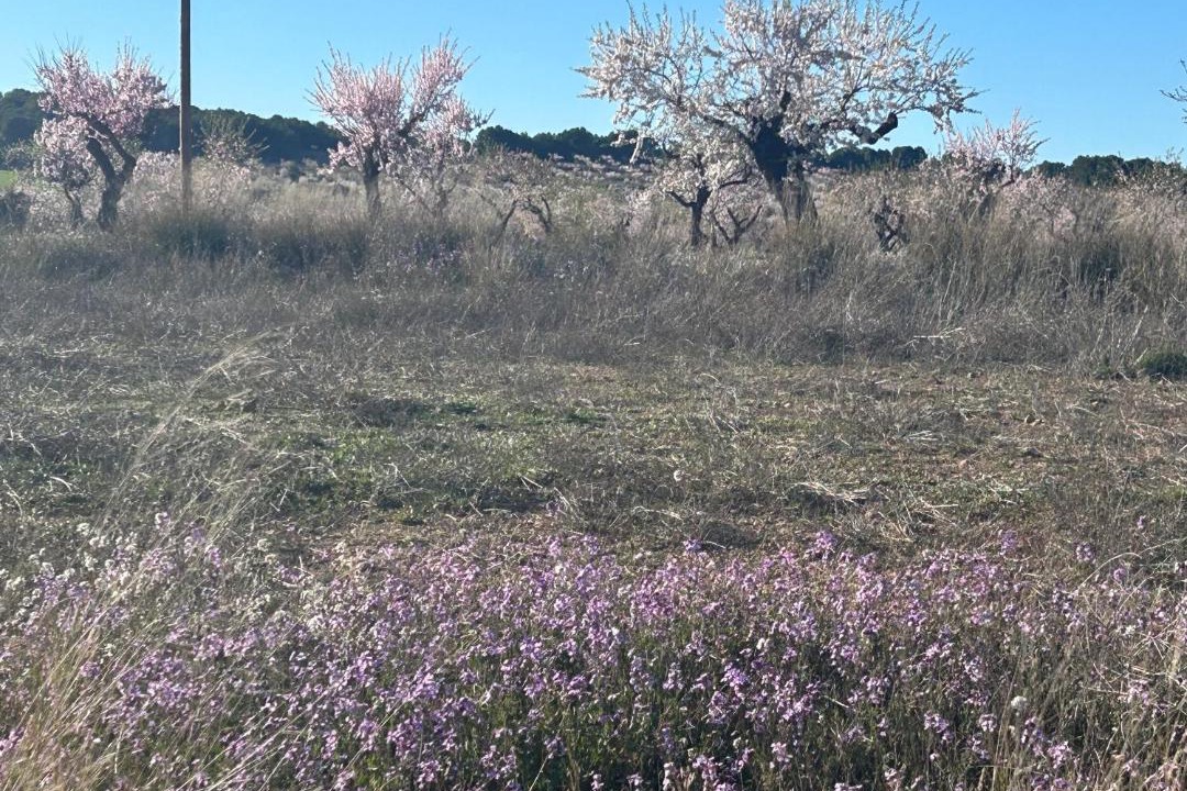 Photo of Outdoor in Tazona