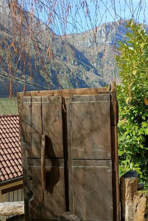 Photo of Others in Tanes