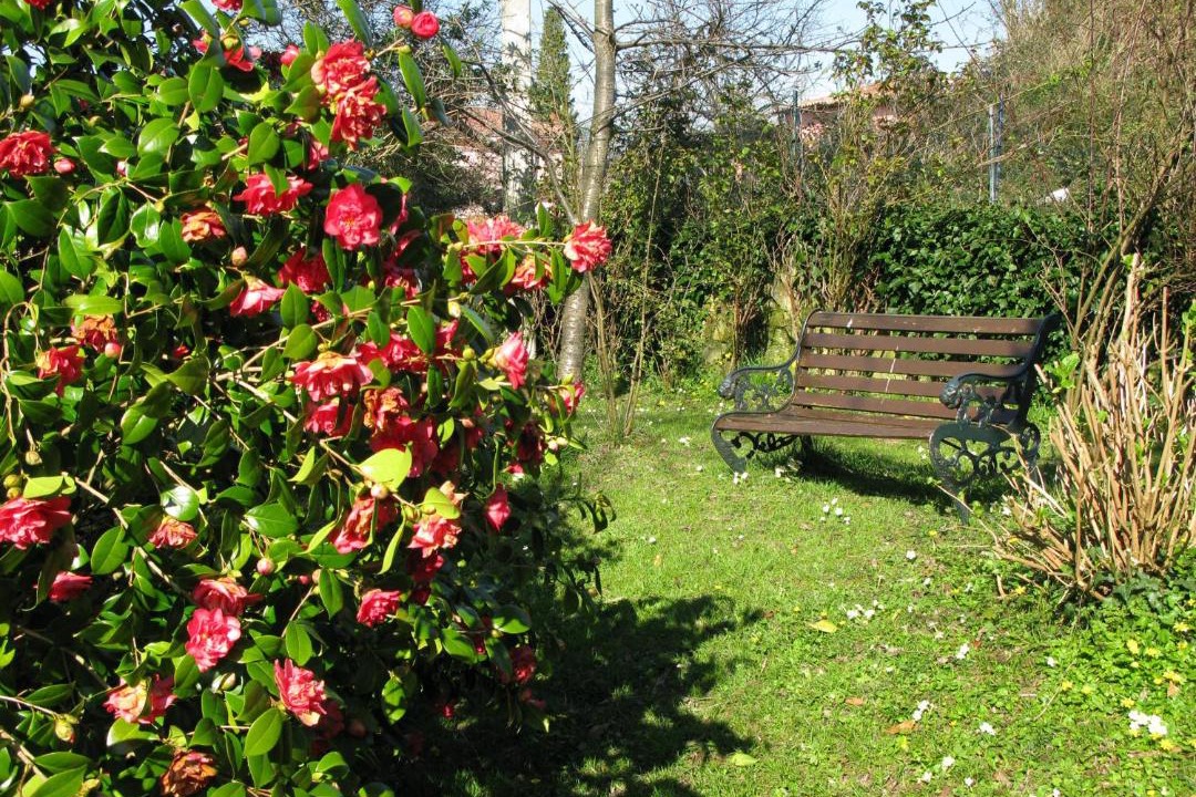 Photo of Outdoor in Pilona