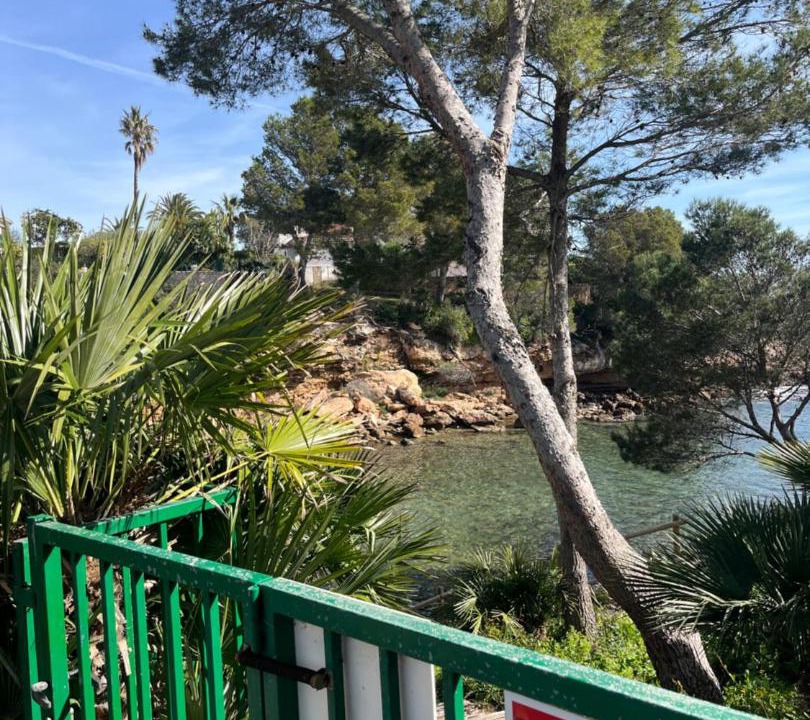 Photo of Others in Calafat