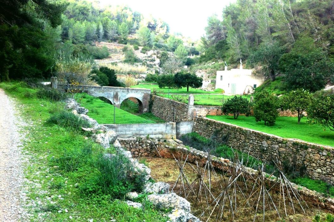 Photo of Others in Sant Antoni de Portmany