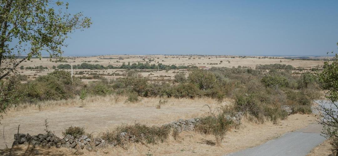 Photo of Others in Torrecaballeros