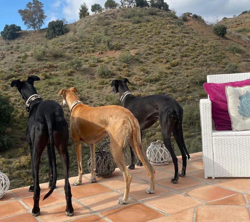 Photo of Others in Sedella
