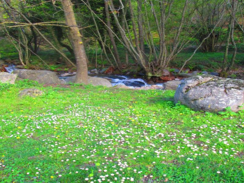 Photo of Outdoor in Gualba de Dalt