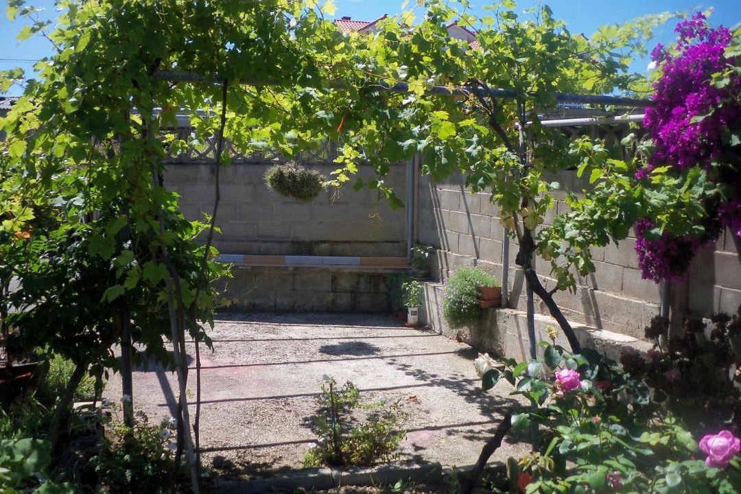 Photo of Others in San Vicente de la Barquera