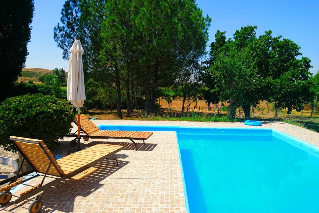 Photo of Outdoor in Pollos