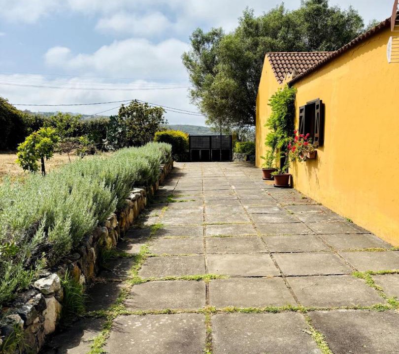 Photo of Others in Teror