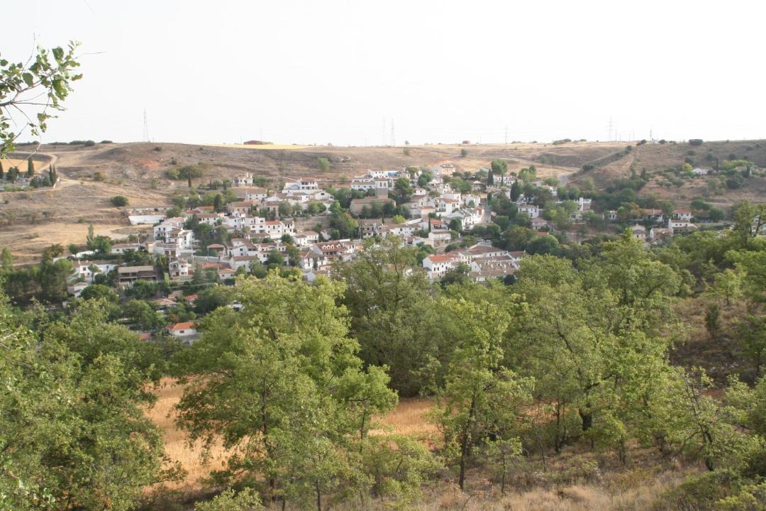 Photo of Others in Olmeda de las Fuentes
