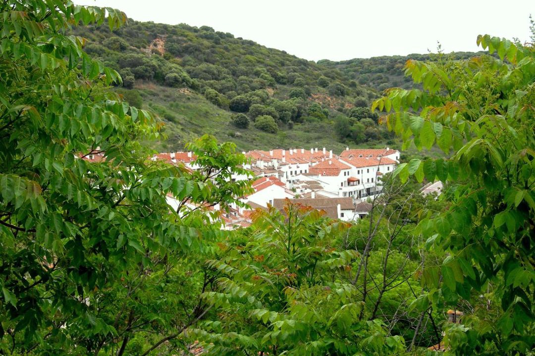 Photo of Others in Olmeda de las Fuentes