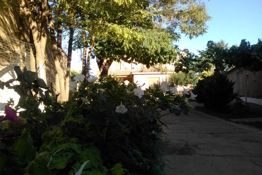 Photo of Others in Palazuelo de Vedija