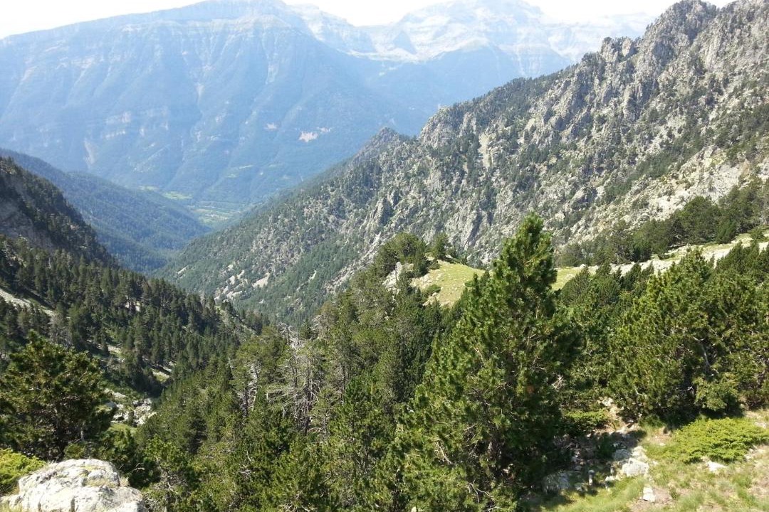 Photo of Outdoor in Chisagues
