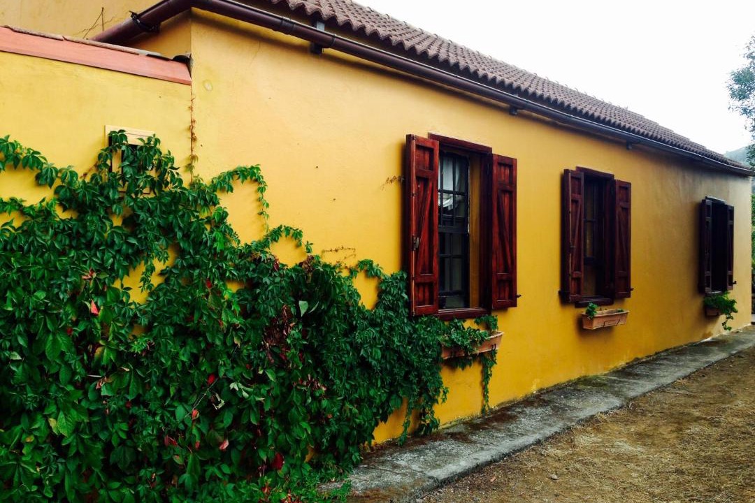 Photo of Others in Teror