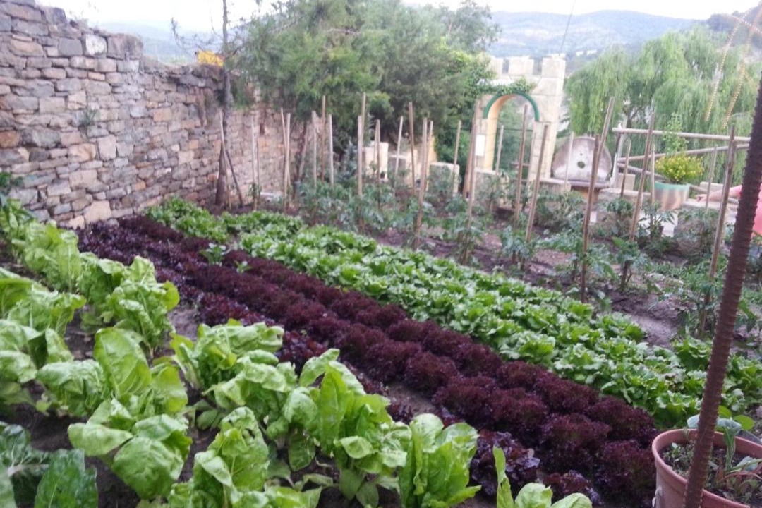 Photo of Outdoor in El Humo de Muro