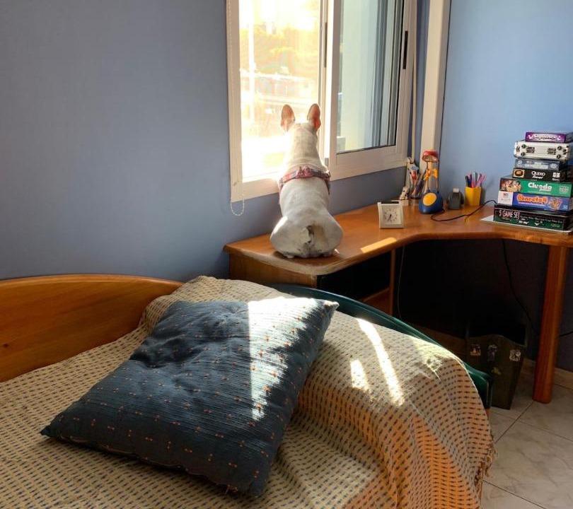 Photo of Bedroom in Tabaiba