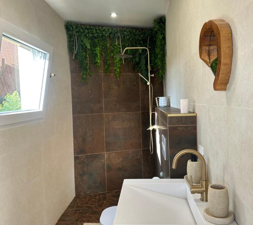 Photo of Bathroom in Arafo