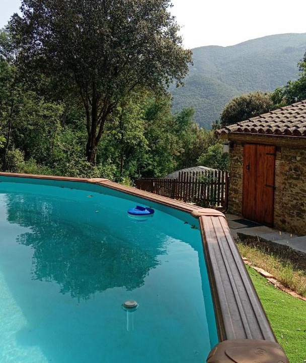 Photo of Others in Montseny