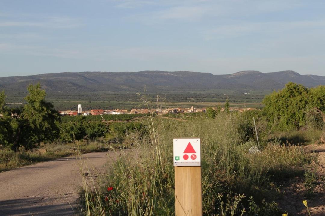 Photo of Others in Utiel