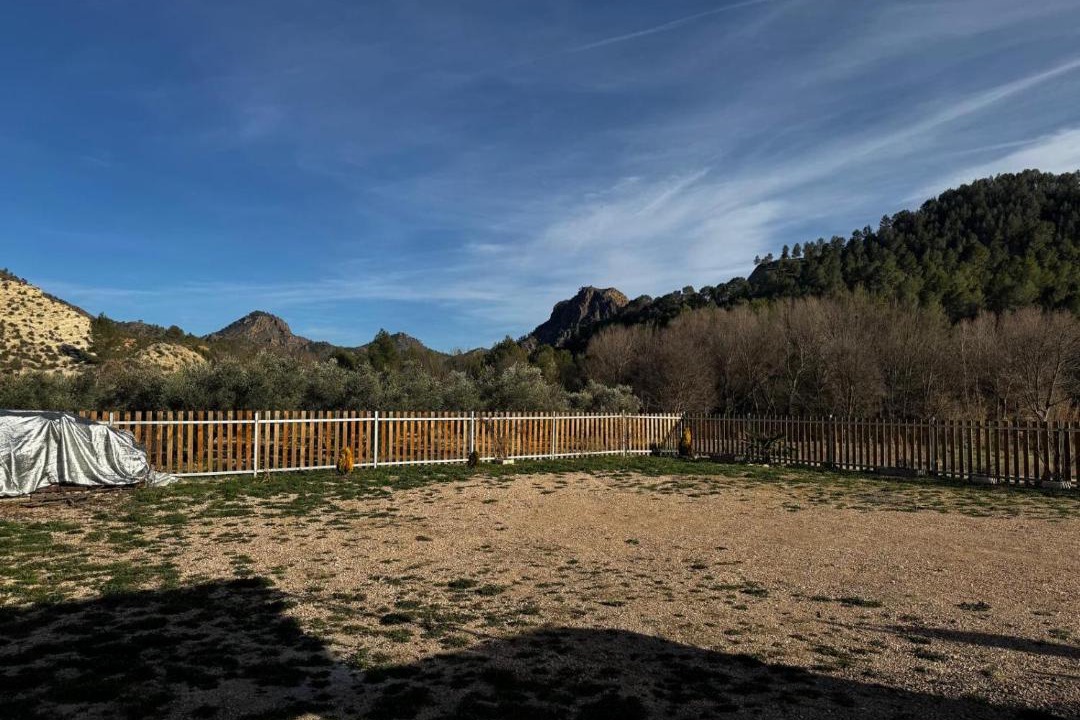Photo of Others in Elche De La Sierra