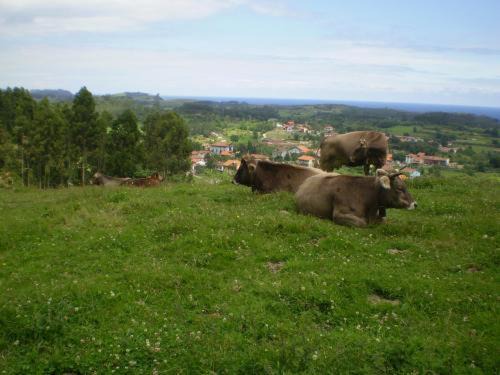 Photo of Others in Camango