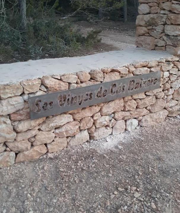 Photo of Others in Formentera