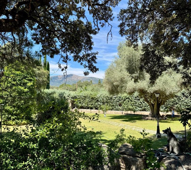 Photo of Others in El Escorial