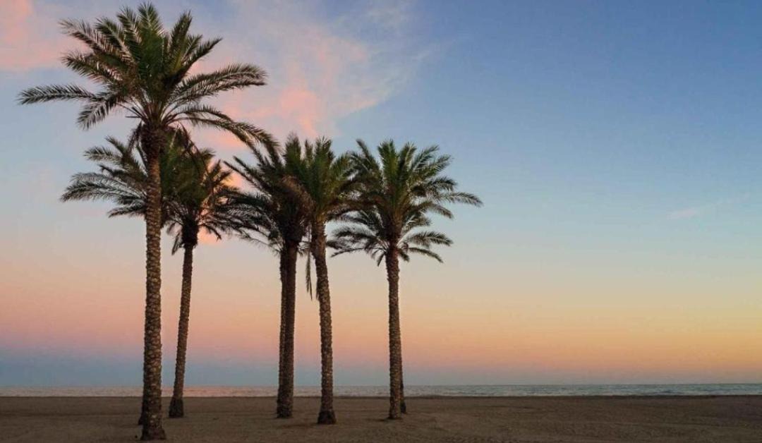 Photo of Others in Roquetas de Mar