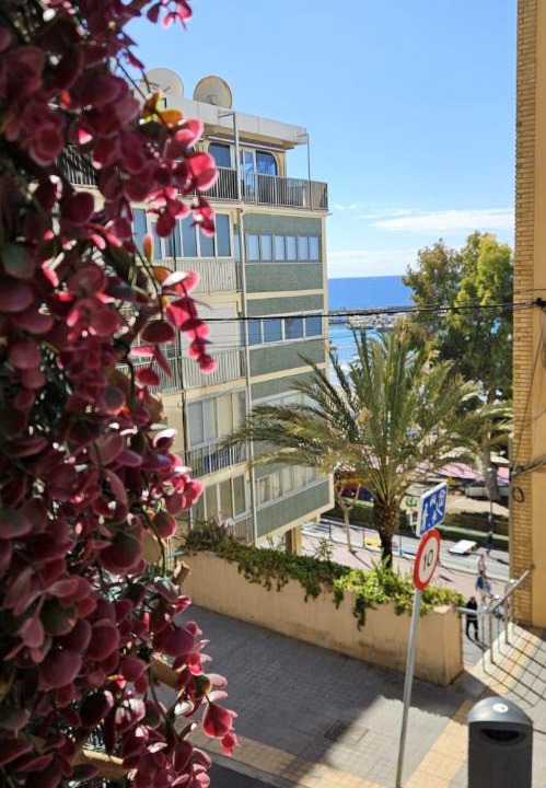 Photo of Others in Benidorm Centro