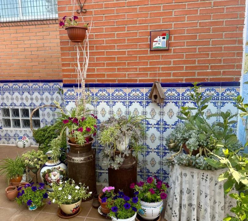 Photo of Others in Azuqueca de Henares