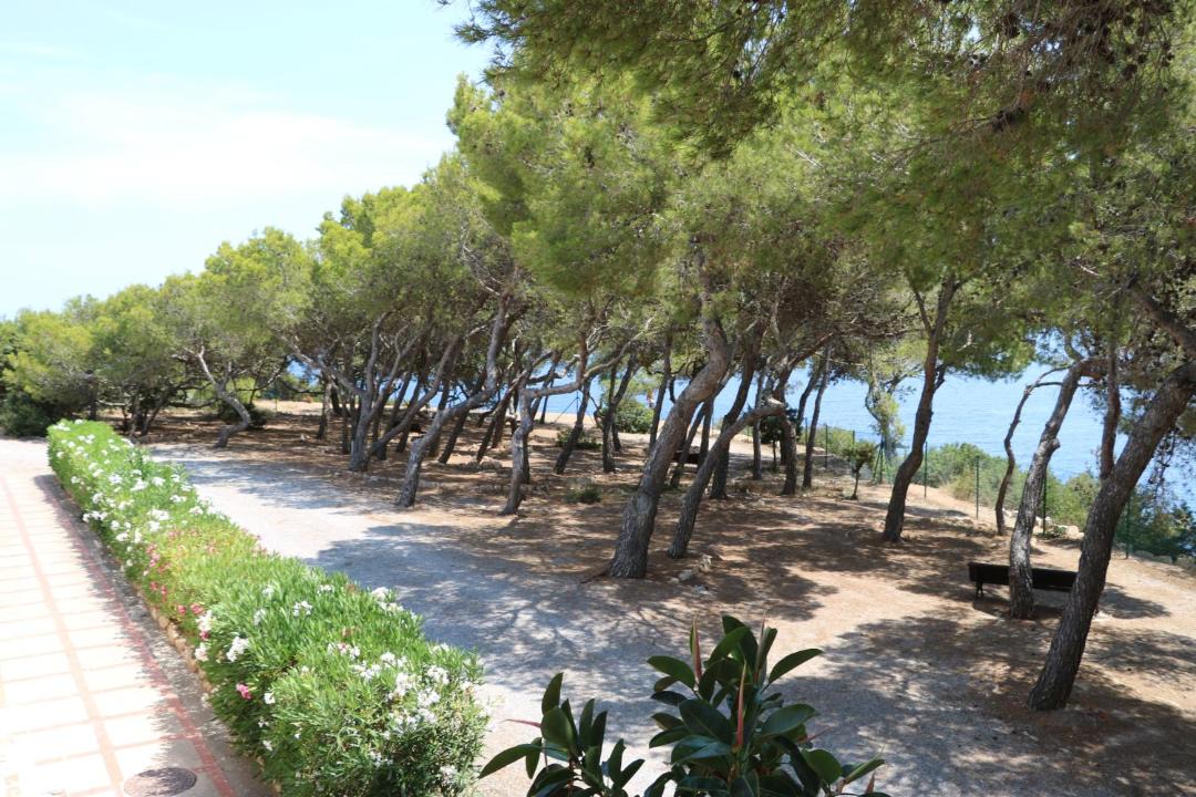 Photo of Others in Cala Llenya