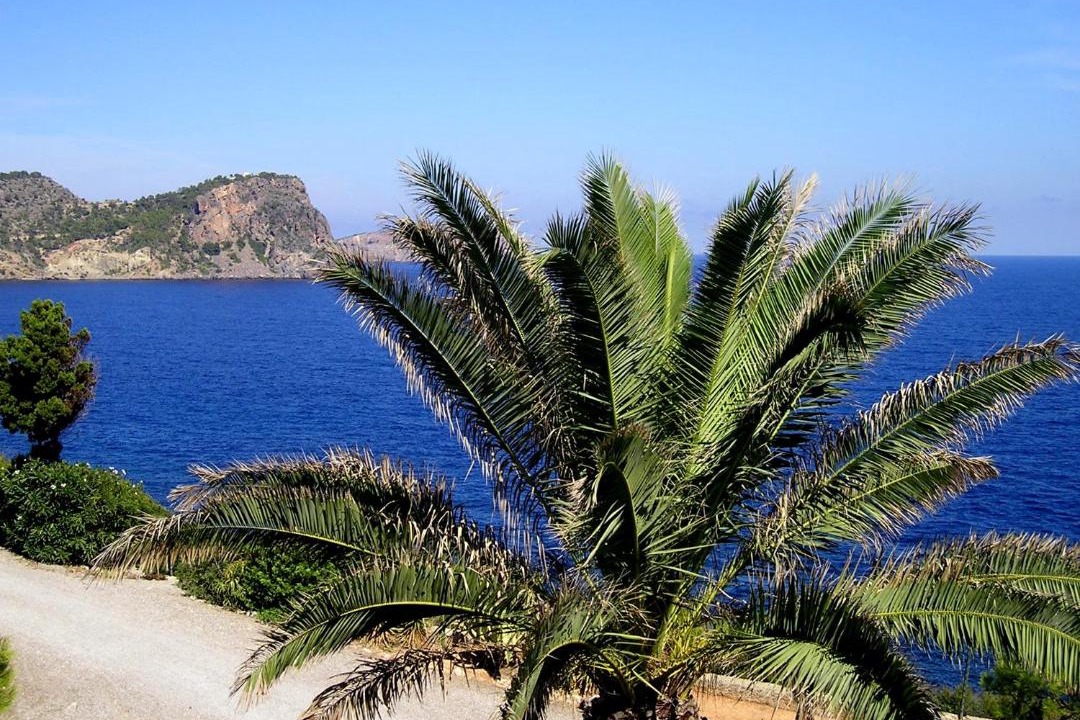 Photo of Others in Cala Llenya