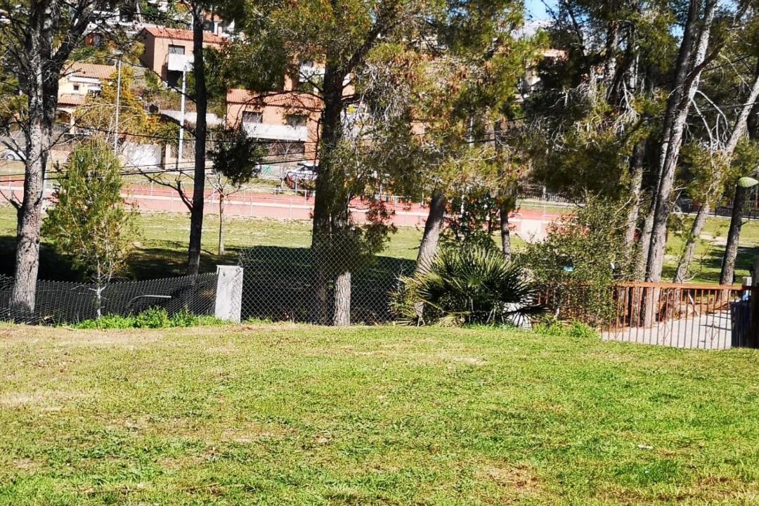 Photo of Others in Olivella