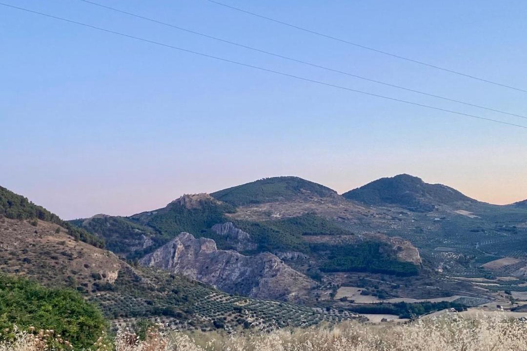 Photo of Others in Tozar