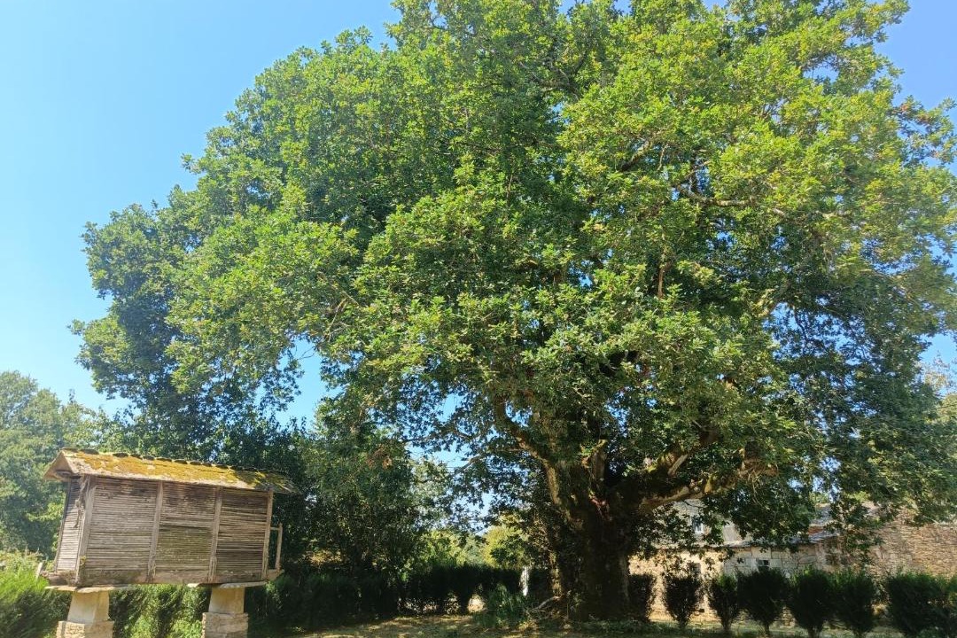 Photo of Outdoor in Villalba