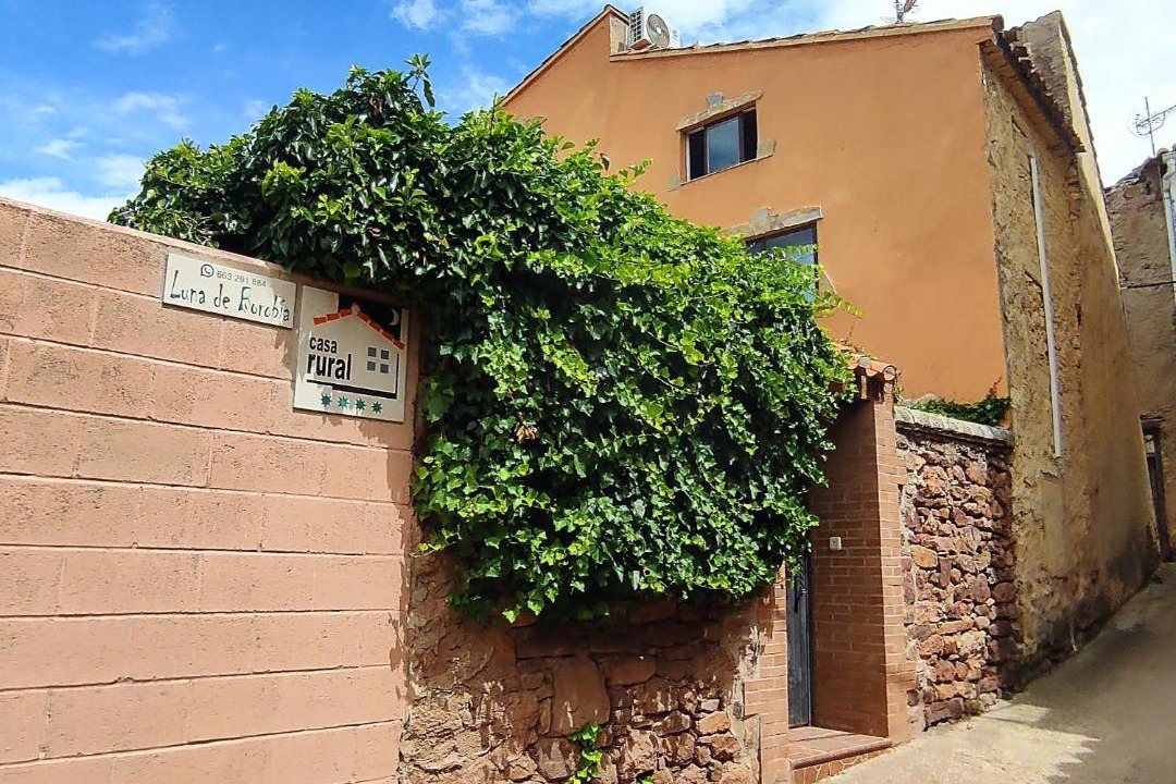 Photo of Others in Borobia