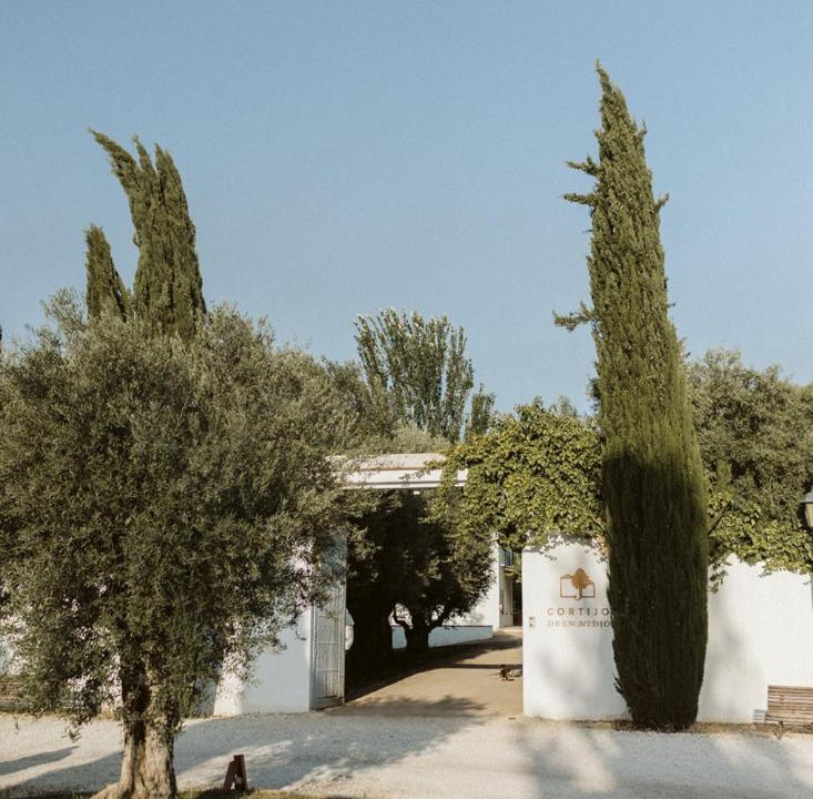 Photo of Others in Granada