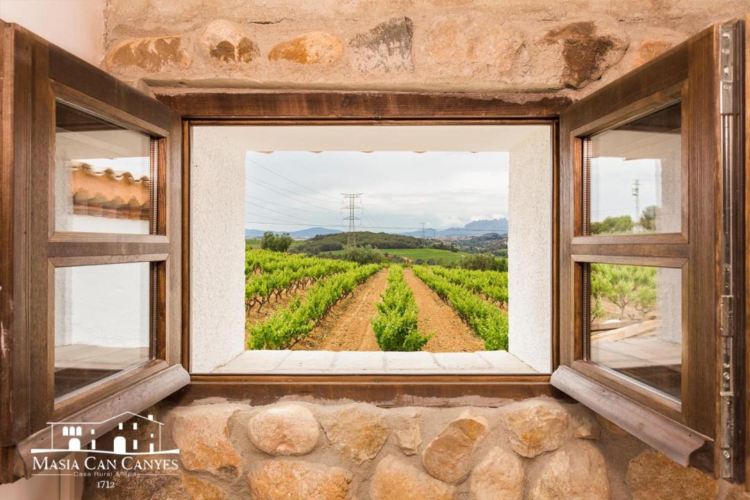 Photo of Others in Sant Llorenc d'Hortons