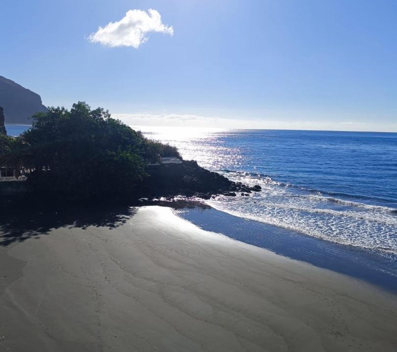 Photo of Others in Santa Cruz de Tenerife