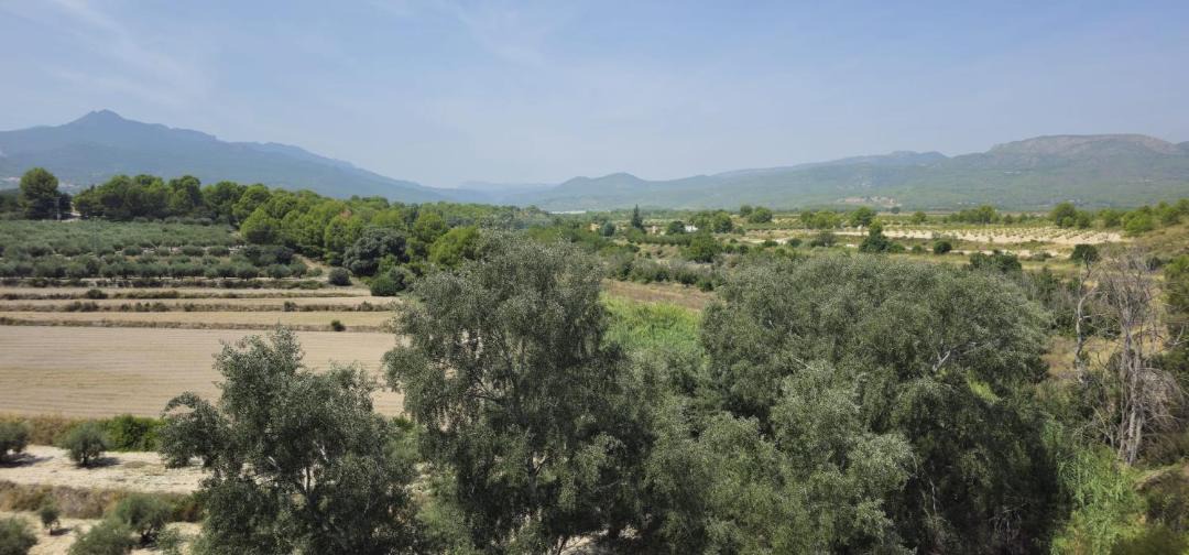 Photo of Others in Moratalla