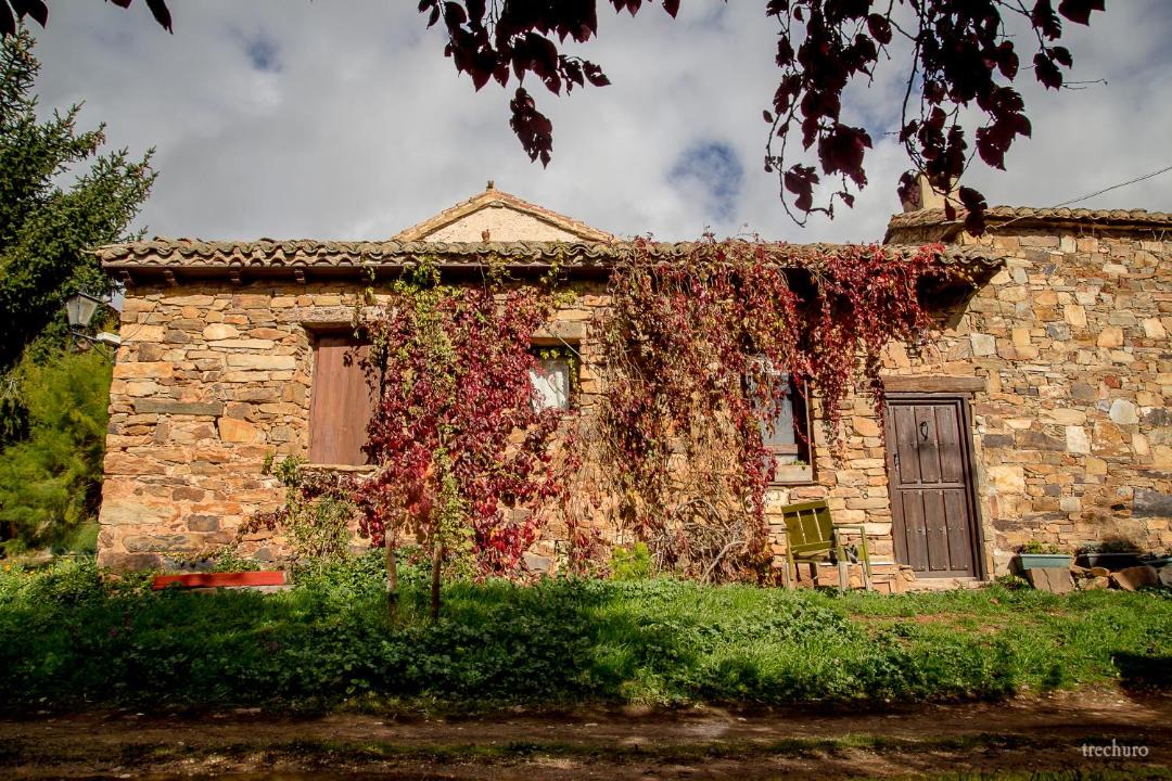Photo of Others in Castrillo De Los Polvazares