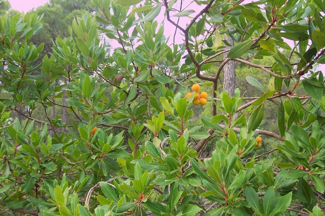 Photo of Outdoor in Huerta de Arriba