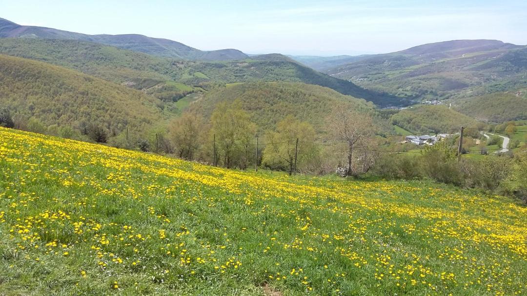 Photo of Others in Pedrafita do Cebreiro